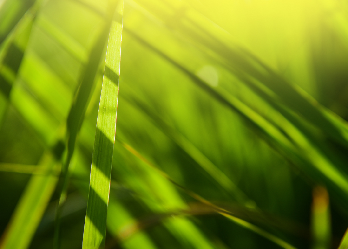 Clean Harry - Golf Club & Grip Cleaner