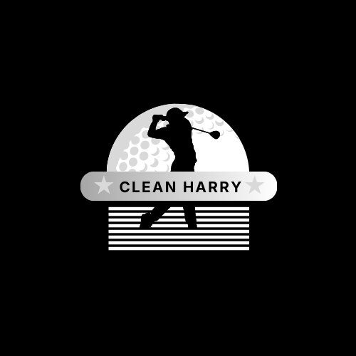 CLEAN HARRY